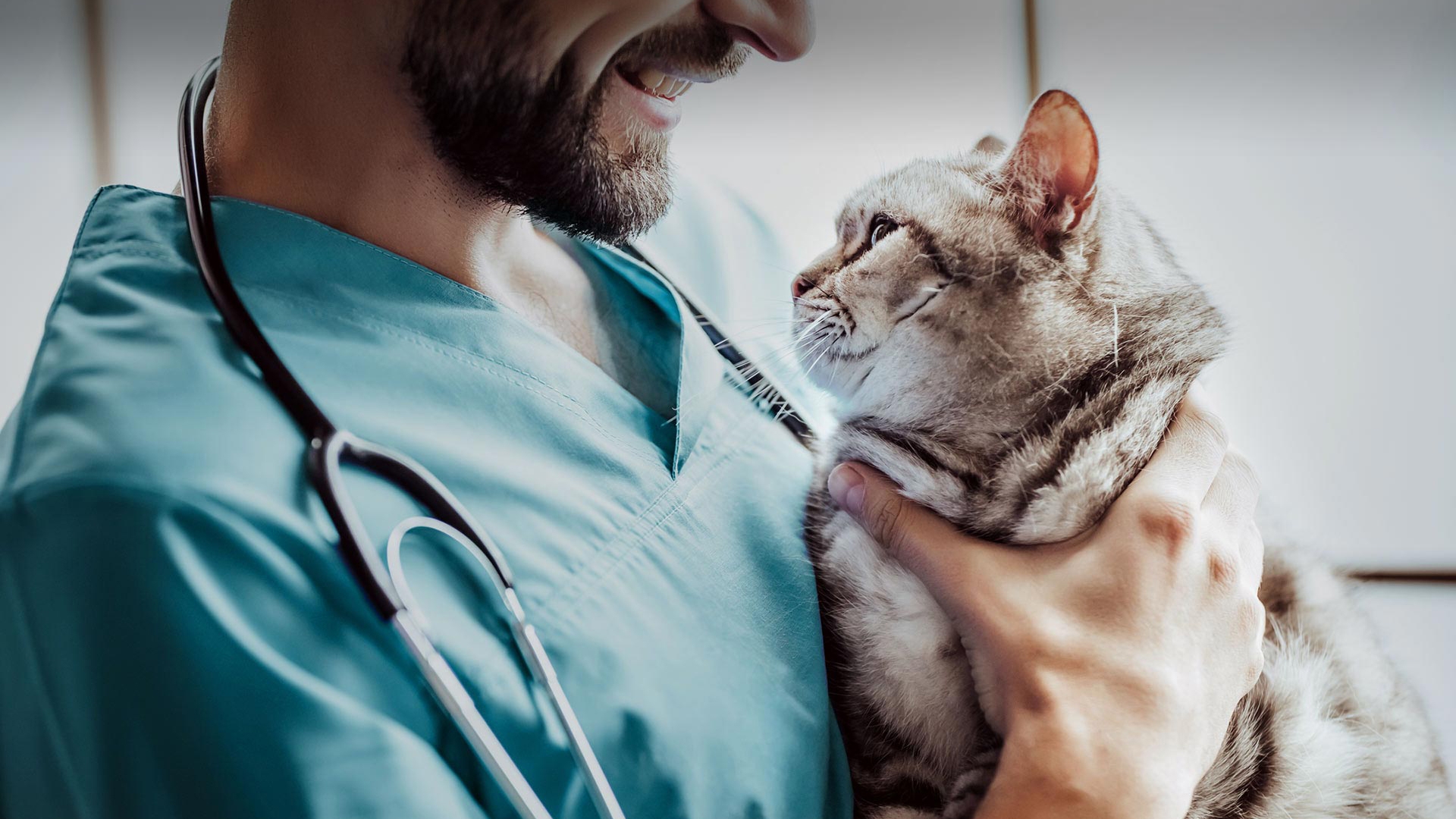 Kırkağaç Veteriner